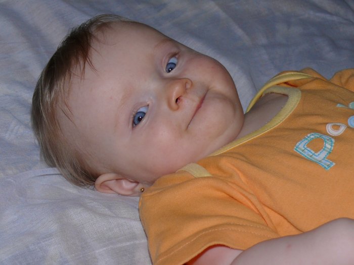 Pavl�nka Lipoldov�
