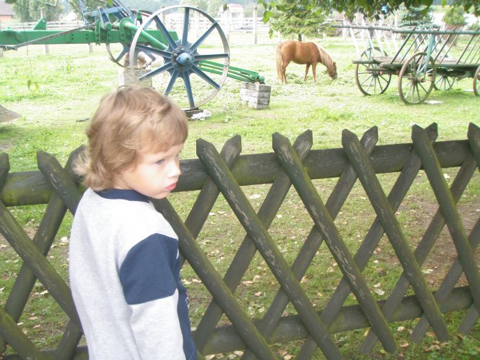 Pavl�nka Lipoldov�