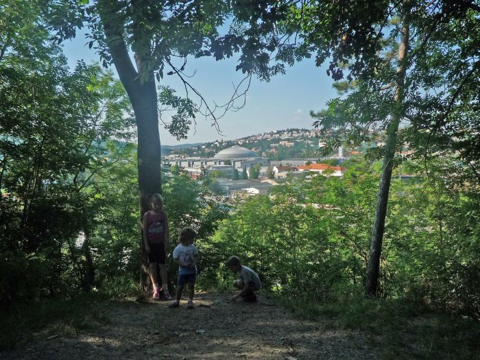 Pavl�nka Lipoldov�